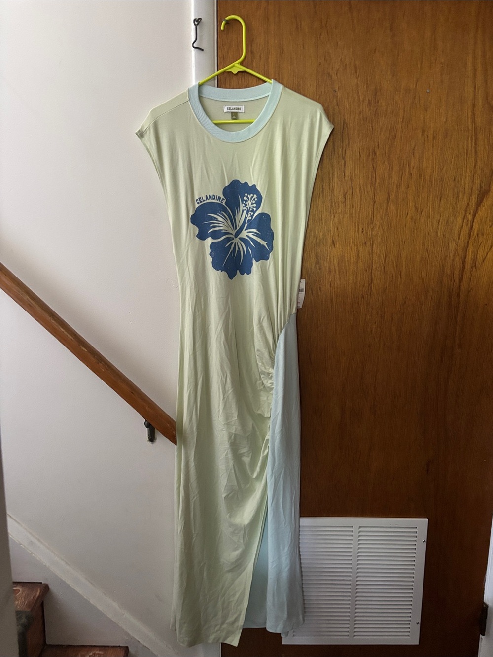 Anthropologie Pale Green Maxi Dress with Blue Floral Print
